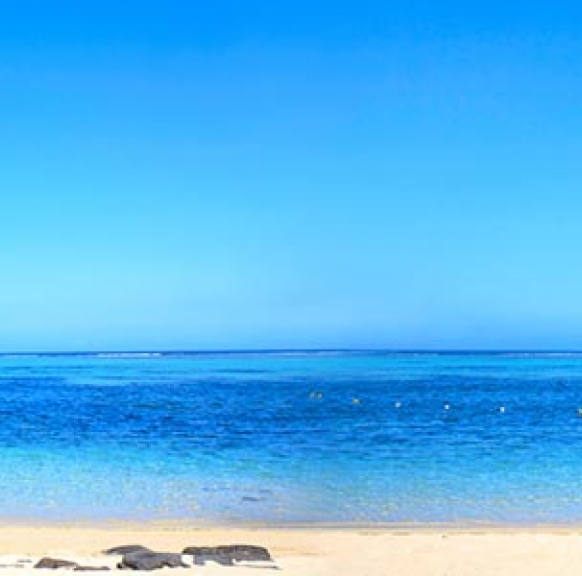 ScOOp : les exclusivités des Agences Léonard