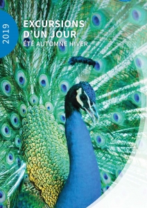 Excursions d'un jour Eté Hiver 2019 (Liège)