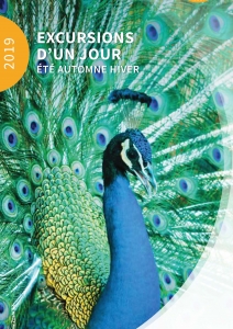 Excursions d'un jour Eté Hiver 2019 (Marche)