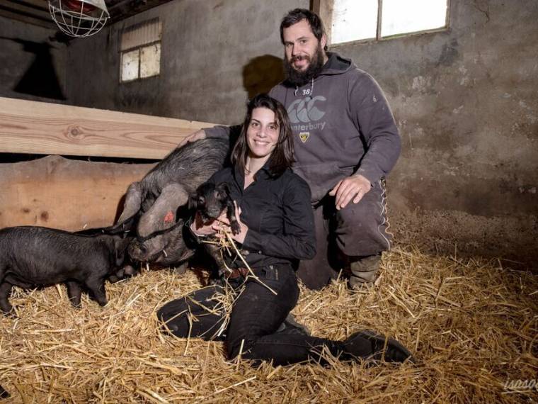 Elevage de porcs noirs à la Ferme de Bidache © Collection Tourisme Gers-La Ferme de Bidache