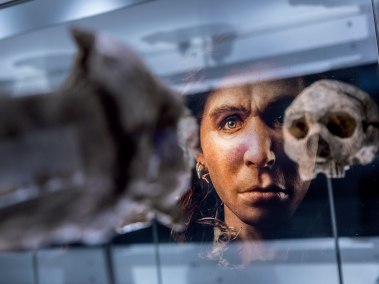 © Prehistomuseum - p9
