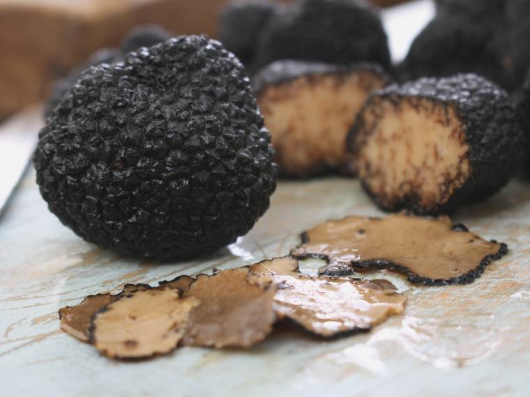 Truffe noire © Envato