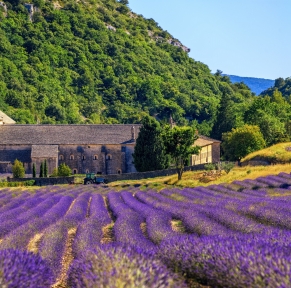 Luberon & les Alpilles, coeur de Provence