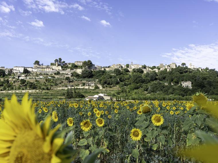 MENERBES © Office de Tourisme Pays d-Apt Luberon