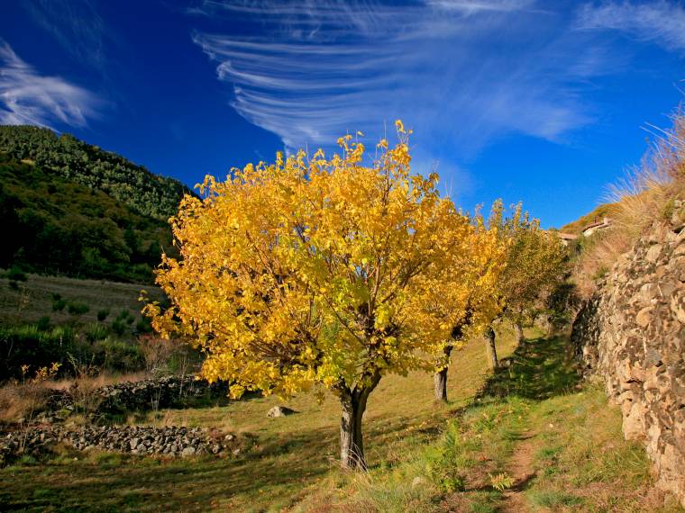 Mont d-Ardèche © JL. RigauxAuvergne-Rhône-Alpes Tourisme
