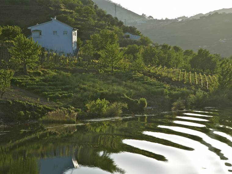 Portugal-Douro-vallee-paysage02©Frantisek Zvardon (1)