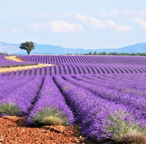 Haute-Provence, au coeur du Verdon