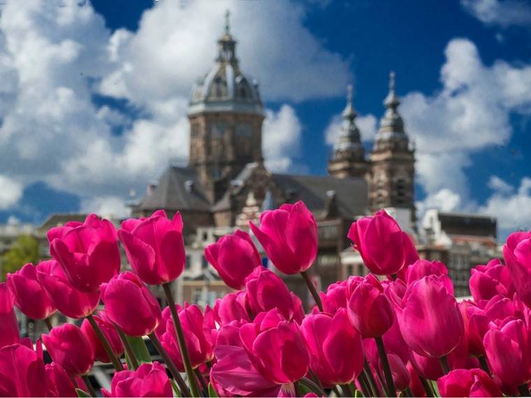 Amsterdam, festival des tulipes (c) Visit Holland