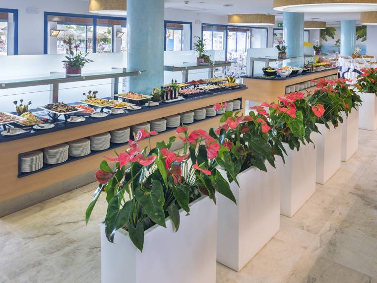 RESTAURANT BUFFET MOREA