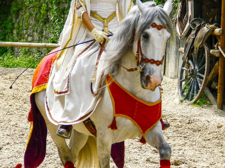 La Légende des Chevaliers © Equestrio (6)