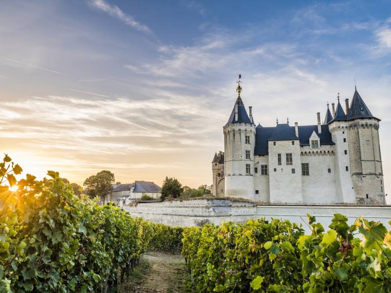 Chateau_de_Saumur-(c)Sebastien_GAUDARD-AnjouTourisme