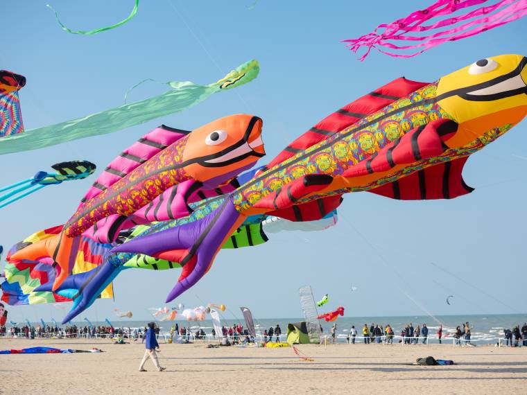 Berck, festival du cerf-volant © AdobeStock_160857300