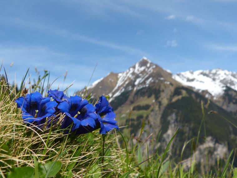 Tyrol © Fotolia