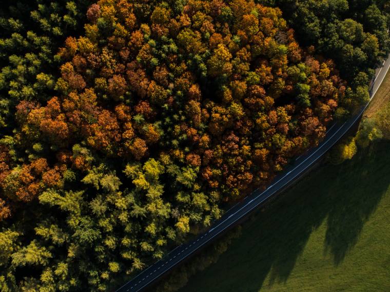 L-automne sur les routes ardennaises © WBT_Denis Closon