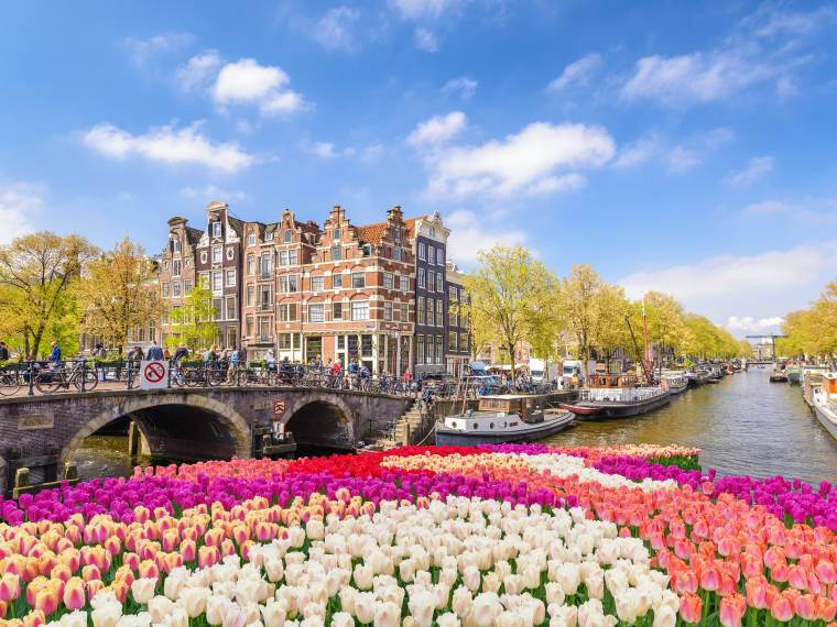 Amsterdam, festival des tulipes © AdobeStock (1)