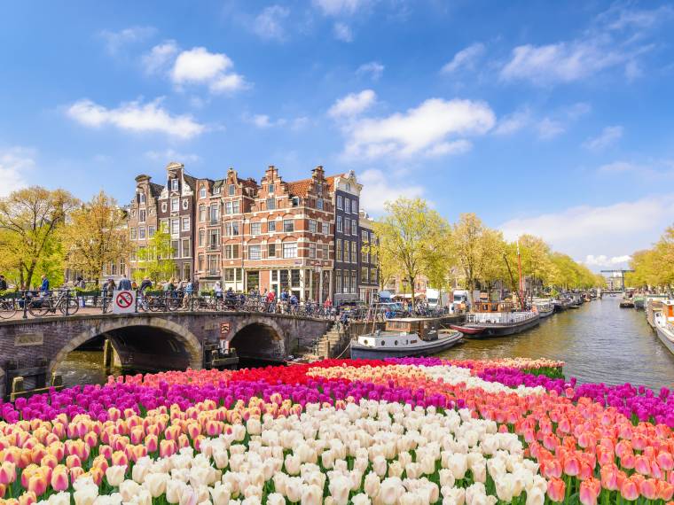 Amsterdam, festival des tulipes © AdobeStock_190098613