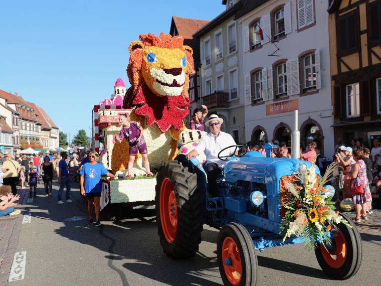 Corso de Sélestat © Ville de Sélestat  (4)