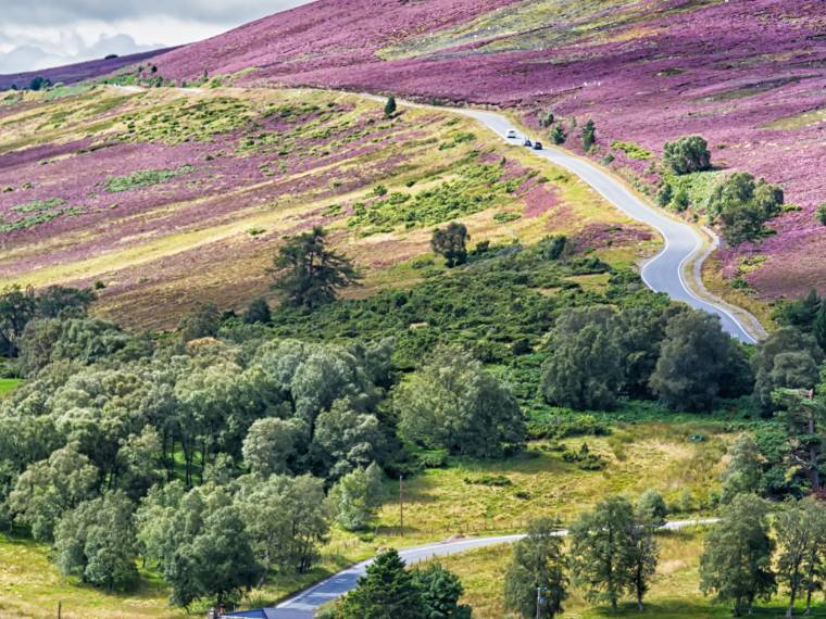 Cairngorms National Park © AdobeStock_349201555
