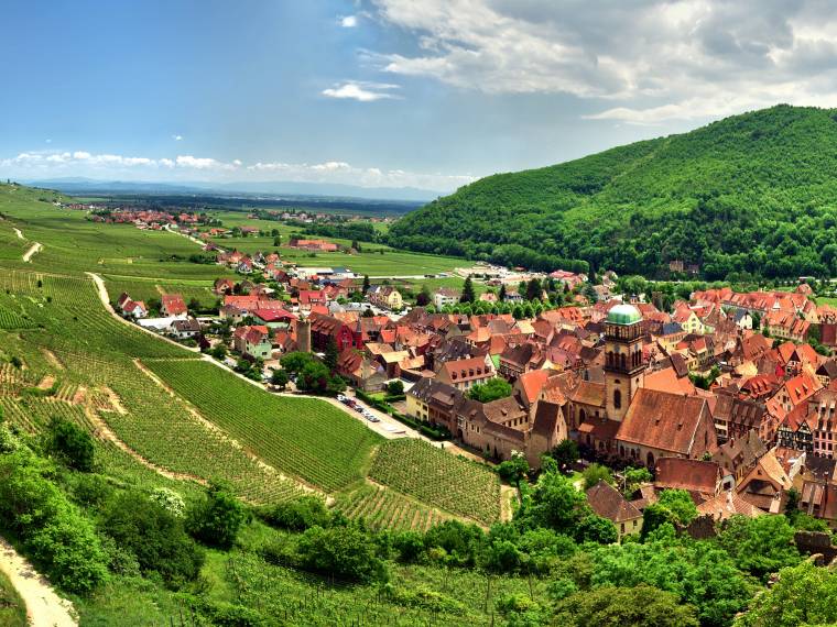 Route des vins, Kaysersberg © AdobeStock