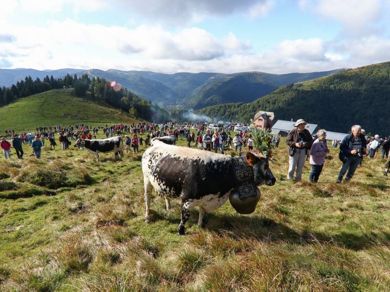 Transhumance © Quentin GACHON - ADT (4)