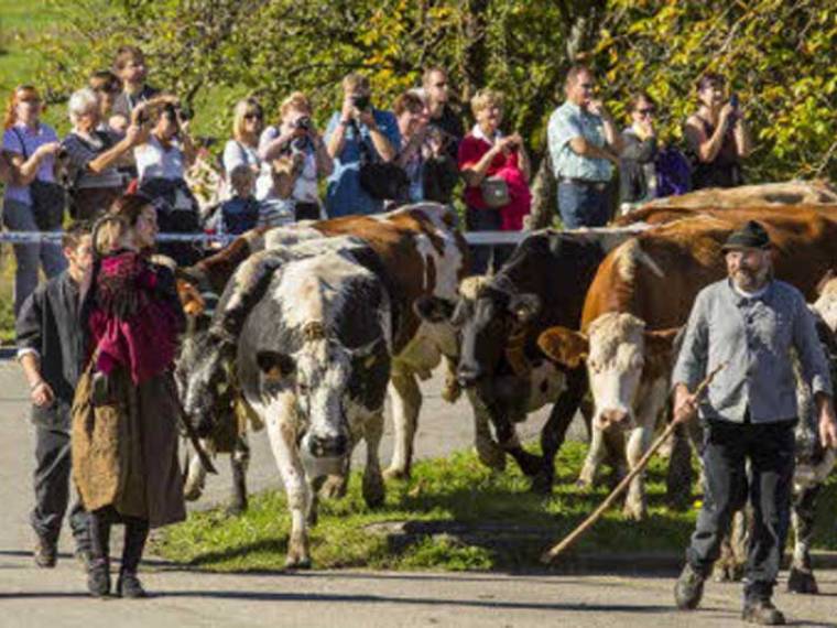 Muhlbach-Munster_Fete-Transhumance ©Ronde des fêtes