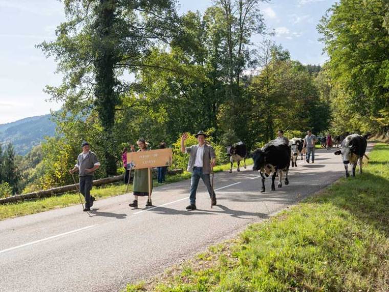 Muhlbach-Munster Fete-Transhumance ©Ronde des fêtes