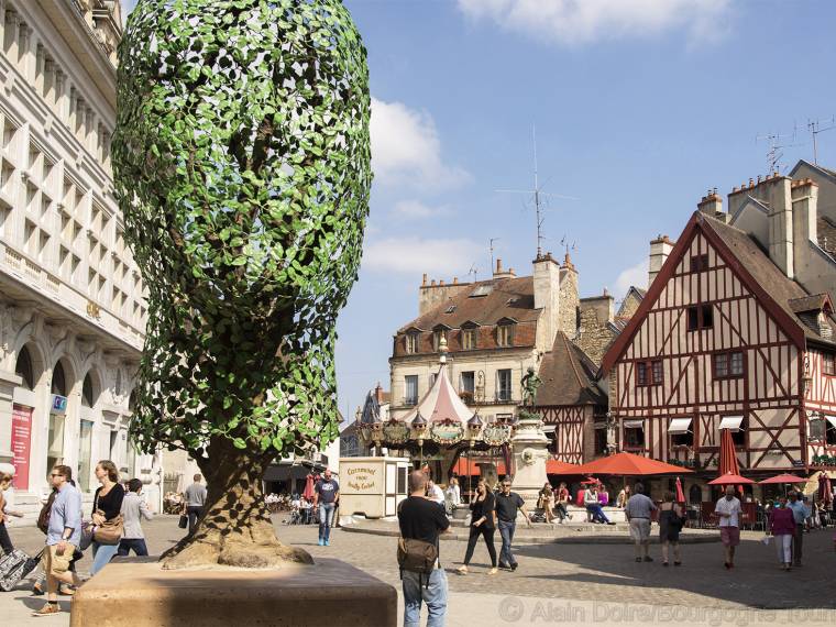 Dijon_Place du Bareuzai © Alain Doire Bourgogne Tourisme