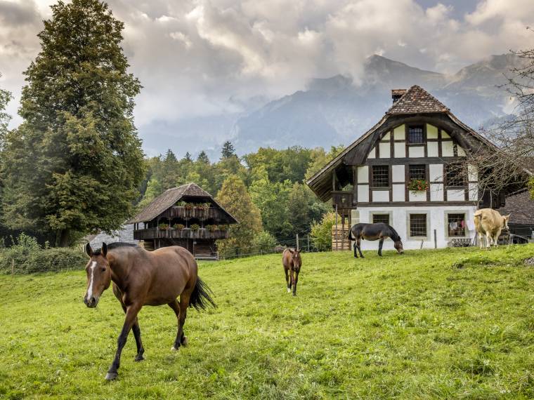 © Ballenberg, Swiss Open-Air Museum (1)