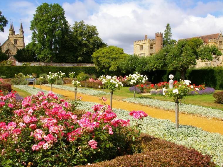 Penshurst Place © Penshurst Place  Gardens - Rose garden in summer with house and church in view