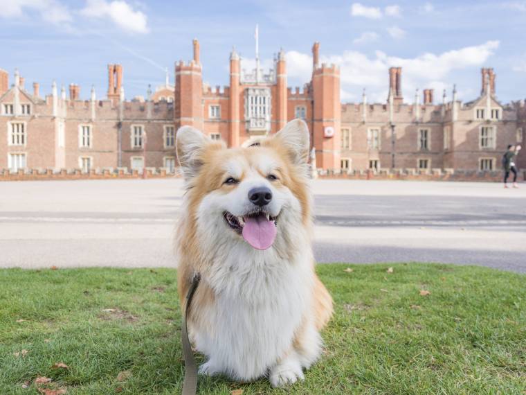 Hampton Court Palace © Visit Britain - Aurélie Four