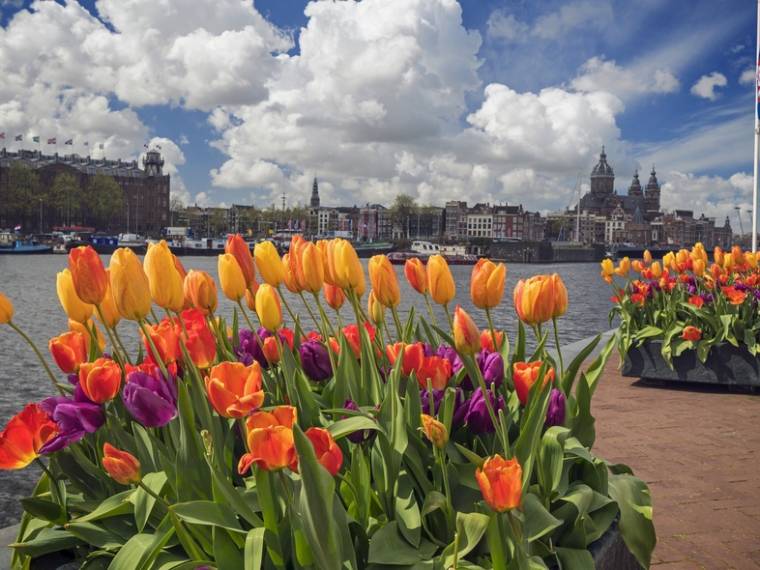 Amsterdam, festival des tulipes (c) Visit Holland