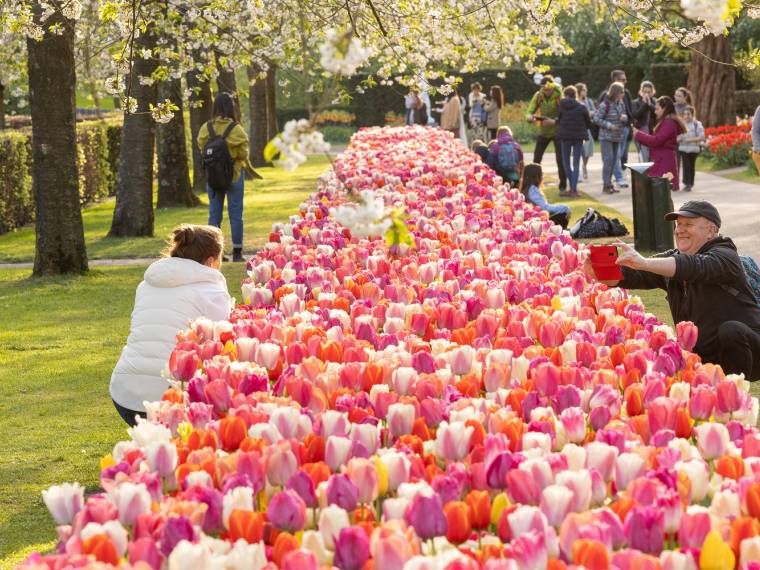 Keukenhof © Keukenhof