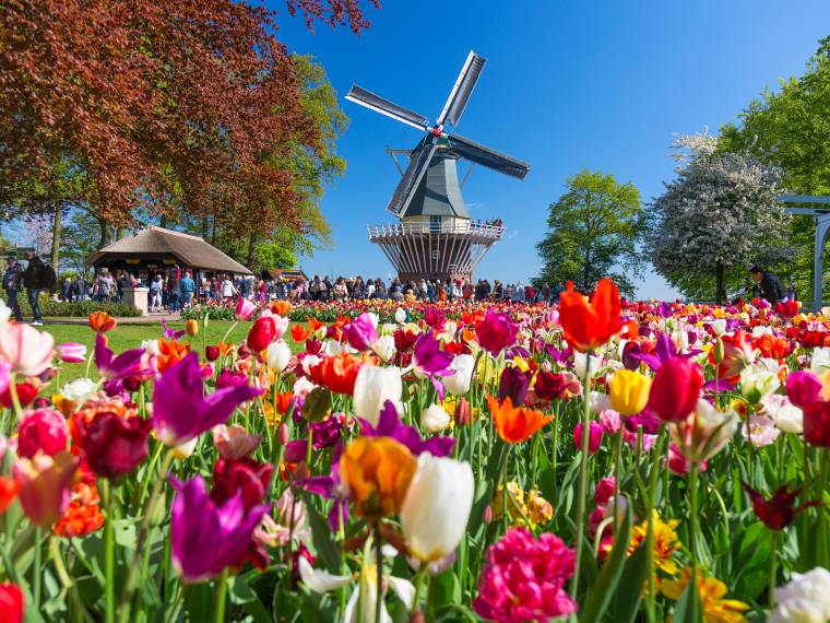 Keukenhof © AdobeStock