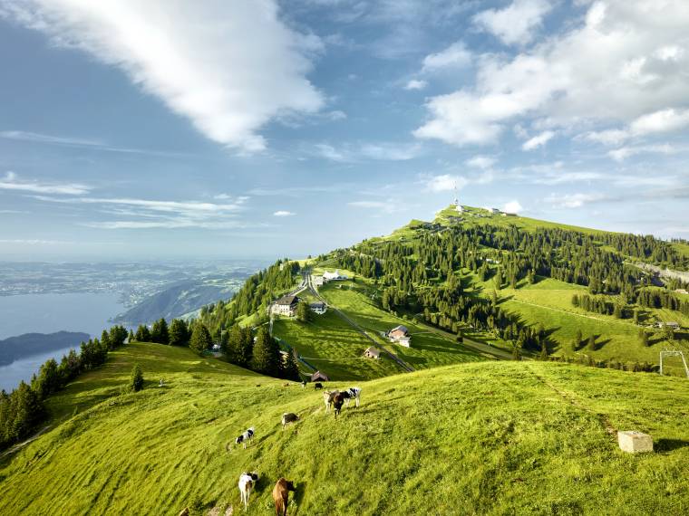 LU_Tourismus_Rigi_03 © Lucerne Tourism  Photographer