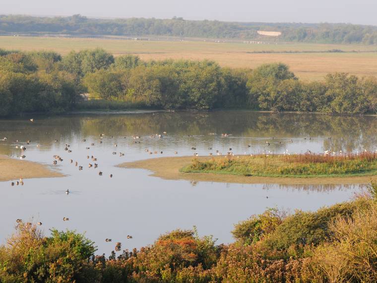 Parc du Marquenterre © Somme Tourisme F. Leonardi