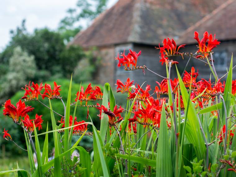 The Great Dixter Gardens © AdobeStock