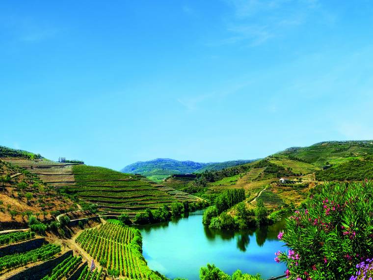 Vallée du Douro © Croisitek - Alexandre Sattler