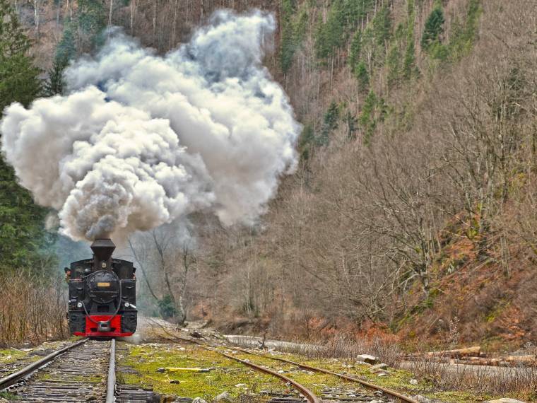 Locomotive à vapeur © Karpaten turism