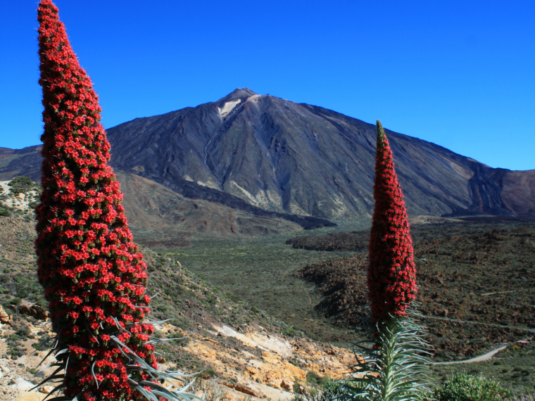 Teide © Pilpil Travel