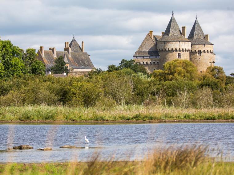 Château de Suscinio © BOURCIER Simon