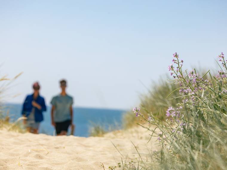 Île de Noirmoutier, balade © Vendée tourisme - Simon BOURCIER_2