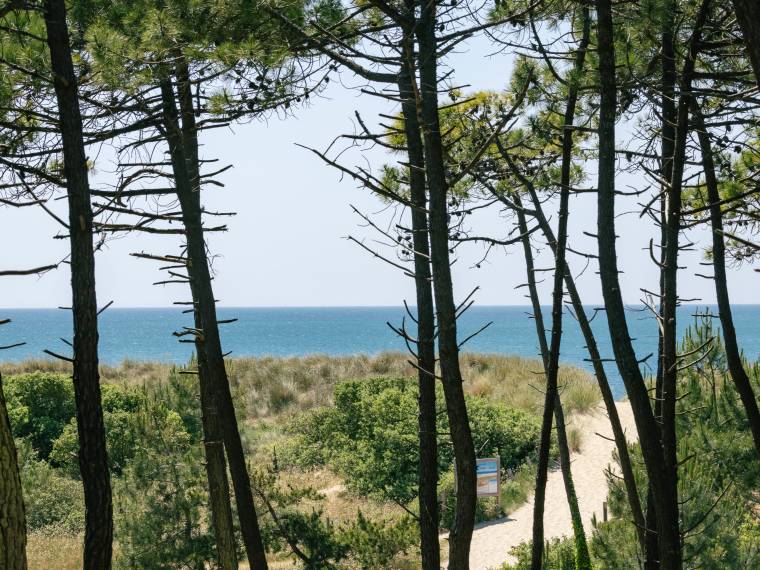 Île de Noirmoutier, balade © Vendée tourisme - Simon BOURCIER_3