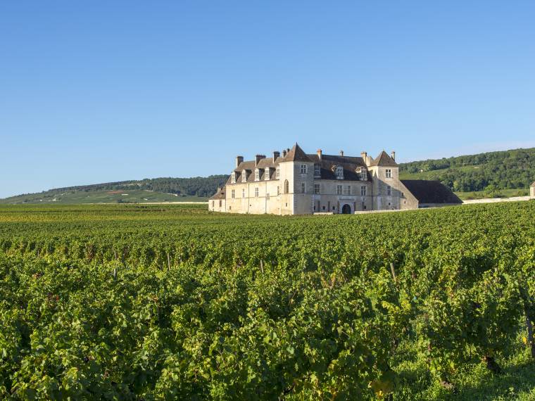 Château du Clos de Vougeot © Alain DOIRE - BFC_Tourisme