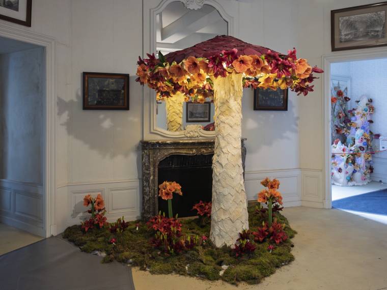 Chambre verte - 1er prix petite équipe © Hugues Dotrice