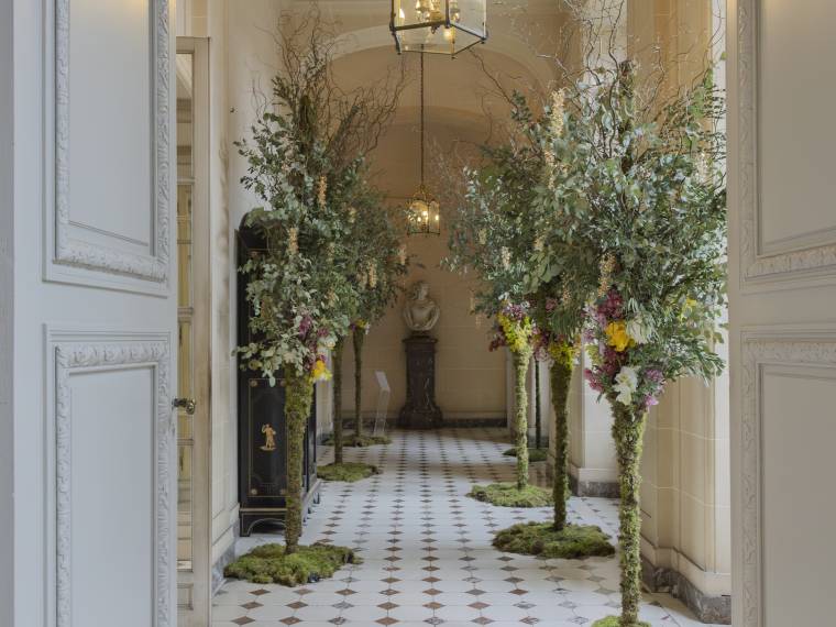 Exposition Amaryllis Lys Chateau de Beloeil 2025 © Hugues Dotrice (3)