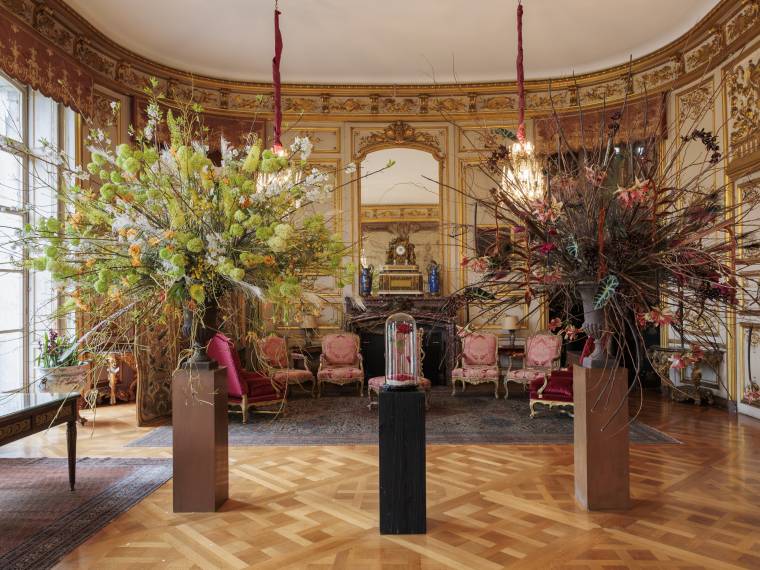 Exposition Amaryllis Lys Chateau de Beloeil 2025 © Hugues Dotrice (4)