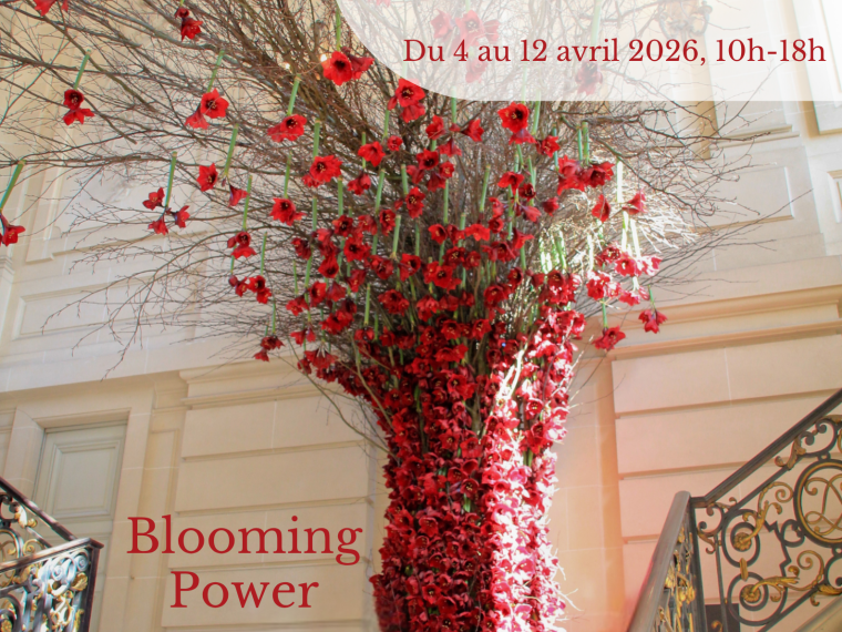 Affiche Amaryllis 2026 - sans logo