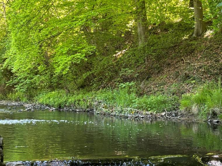 Aubel parc de l-Abbaye © BN