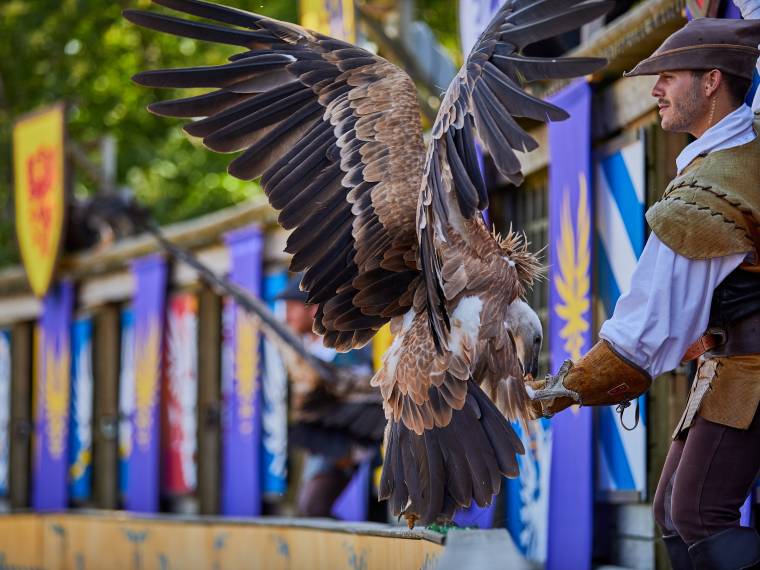 Le Bal des Oiseaux Fantômes © Puy du Fou