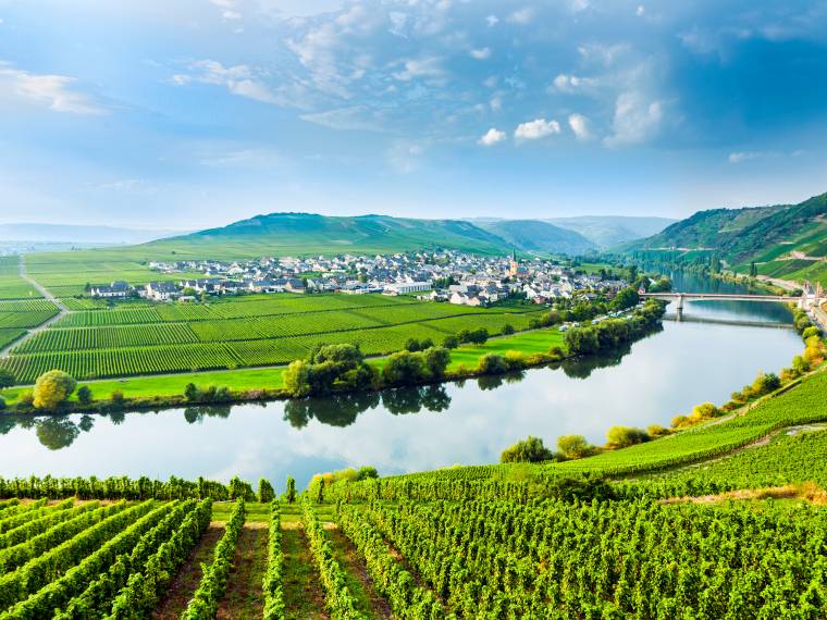 Moselle allemande © AdobeStock